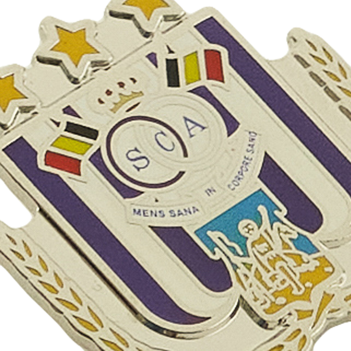 Pin logo RSCA - kleur